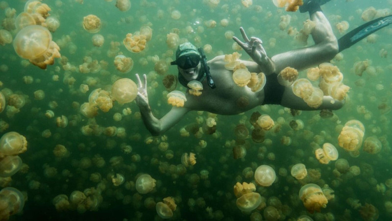 Underwater in Palau