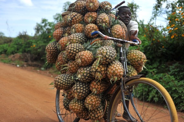 Pineapple salesman, Tanzania
