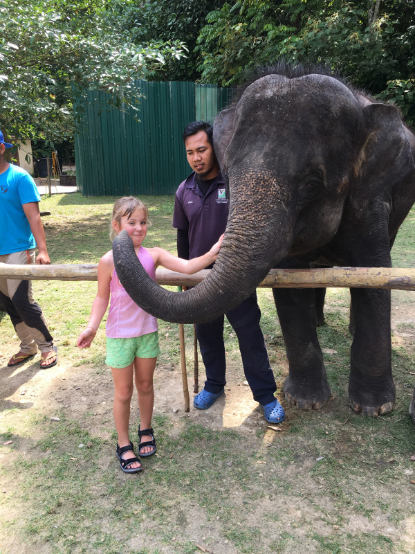 Merete's daughter making friends with an elephant in Malaysia.