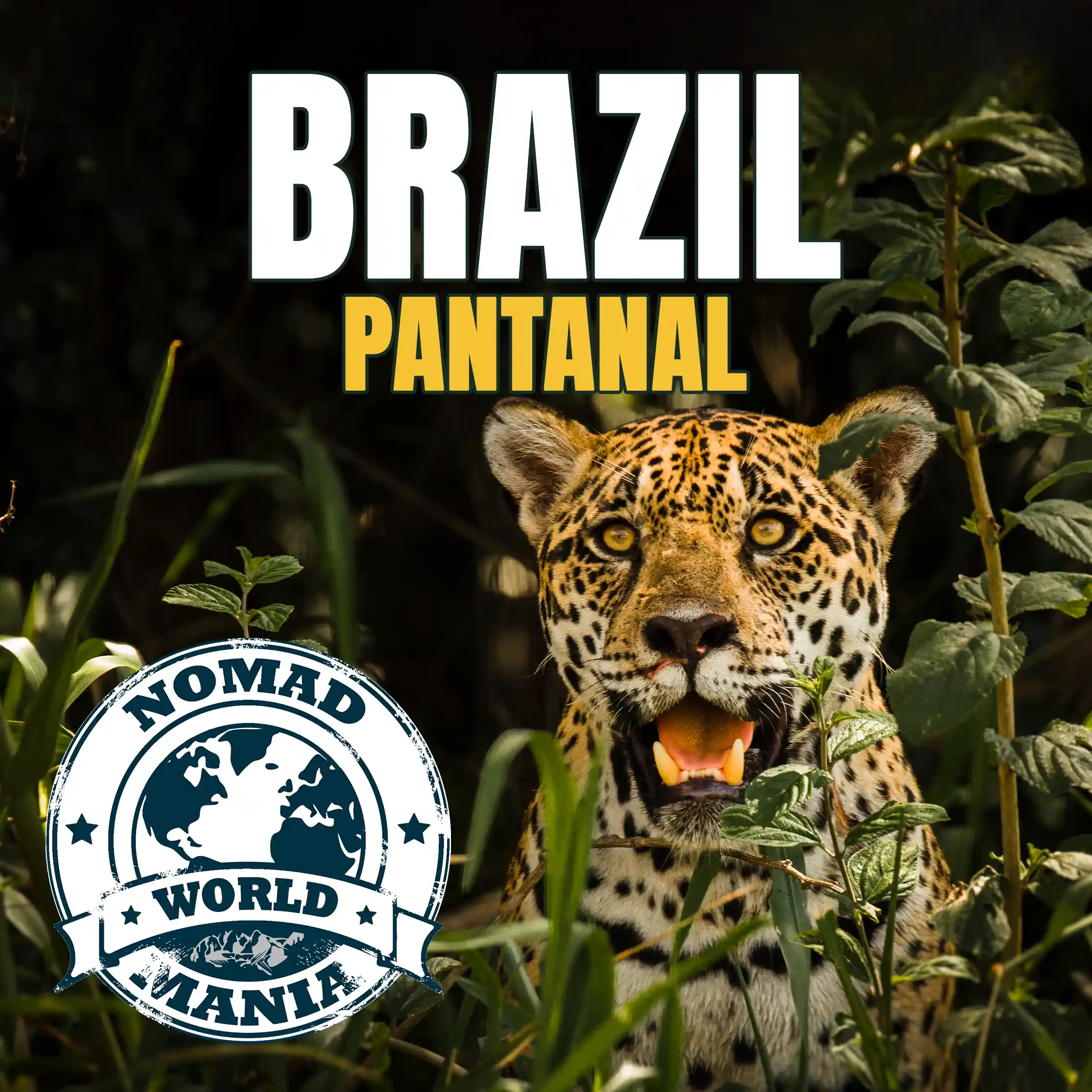 Brazil Pantanal