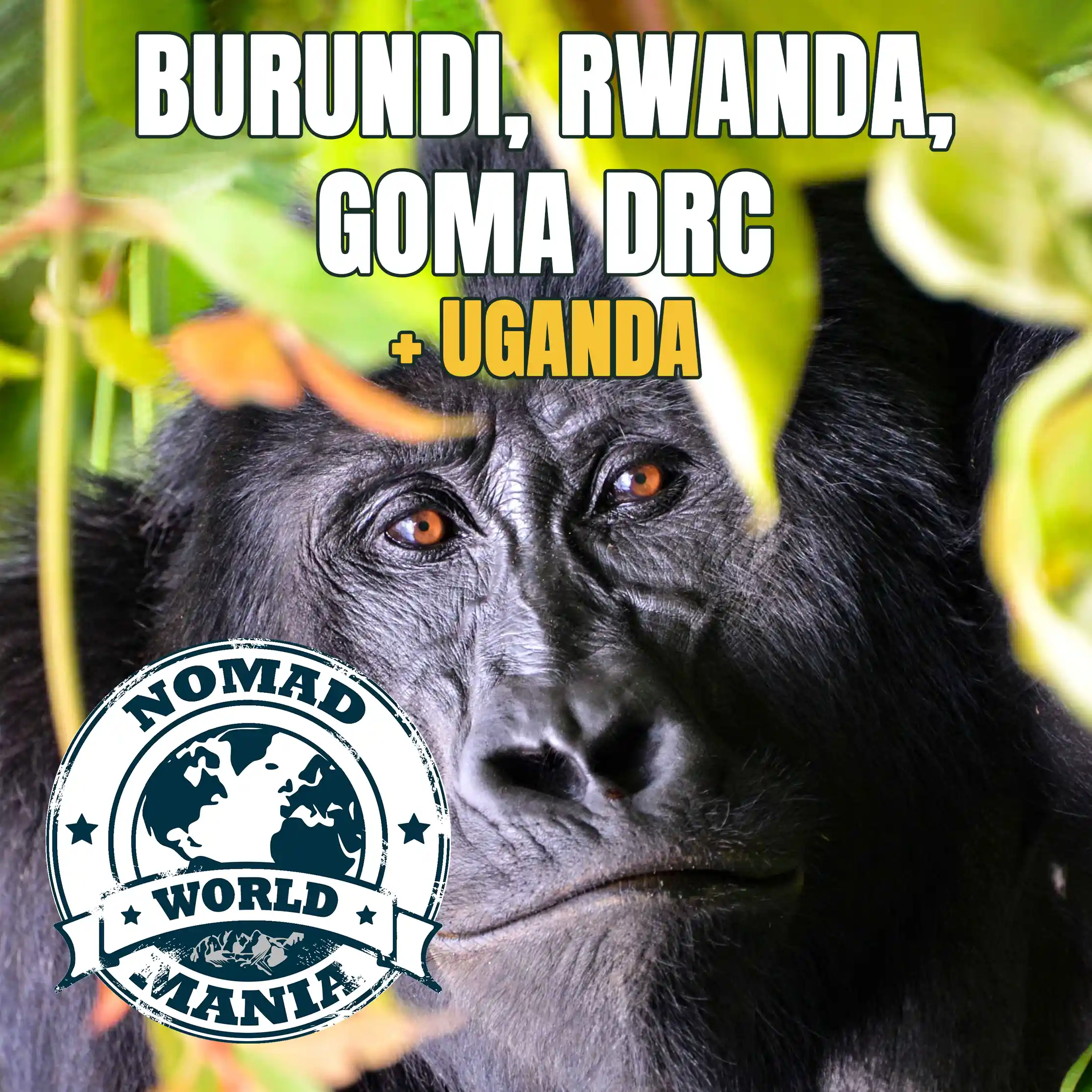 Burundi, Rwanda, Goma DRC + Uganda