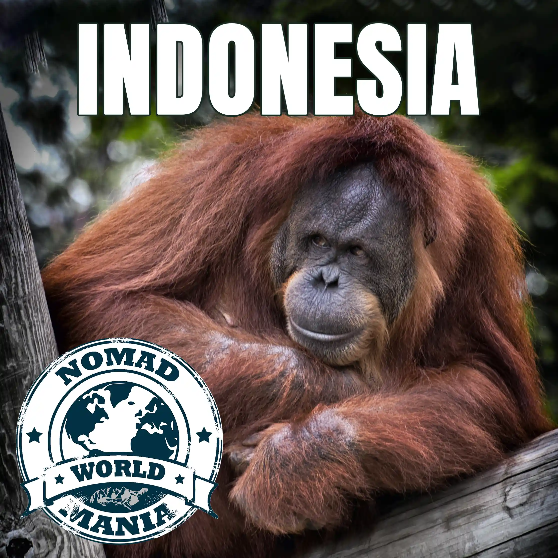 Indonesia