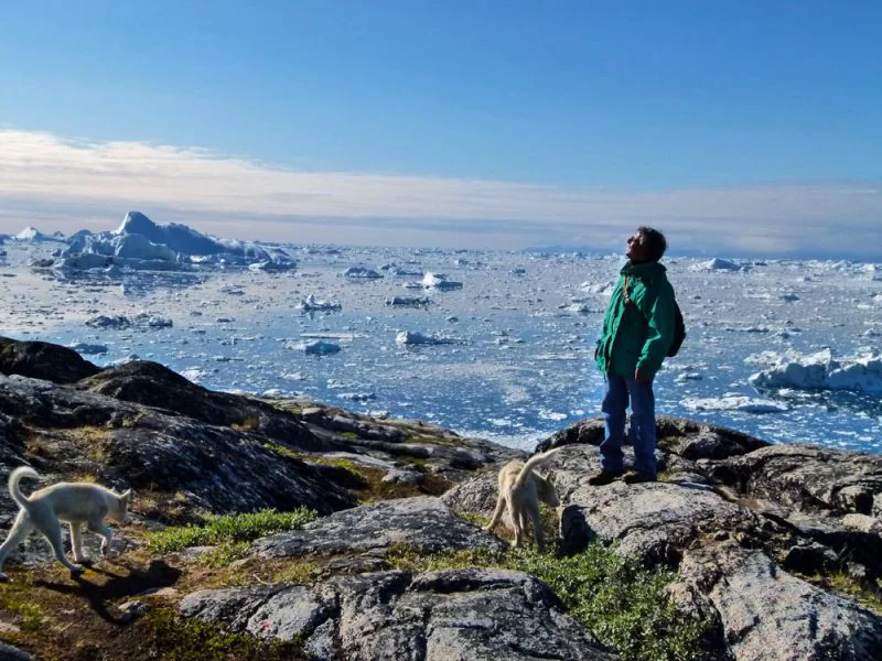 Mauro in Greenland