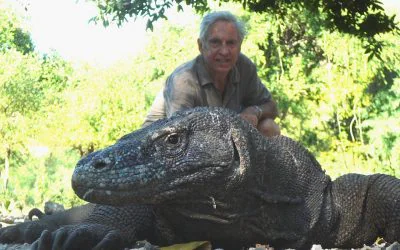 Interview with Andre Brugiroux