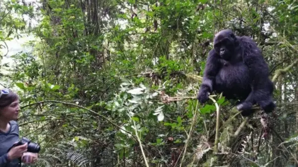 Interview with Sarah Mcarthur