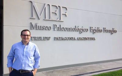 Interview with Luca Zanni