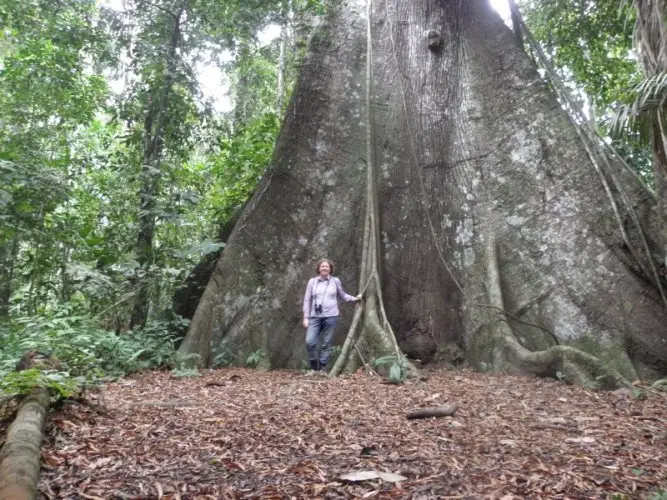 Manu National Park, WHS site