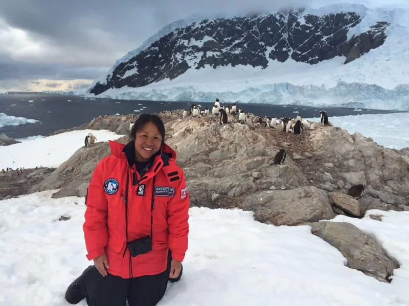 Chilling with the penguins at Neko Harbour, Antarctica