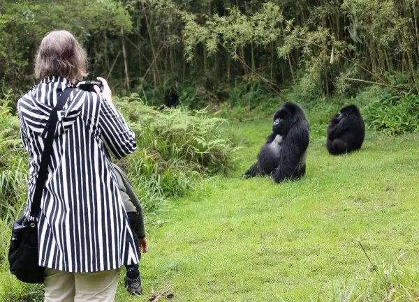 All sweaty after the climb to visit mountain gorillas in Rwanda in 2015