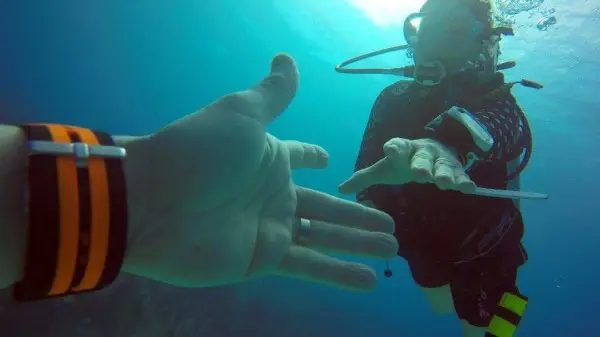 The diving in Bonaire is some of the best in the world, and it’s at the top of our list for a return trip