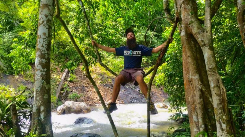 Swinging among the trees in Sumatra