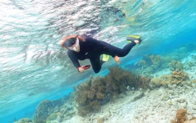 Going Dutch – Bonaire, Saba and Sint Eustatius, The BES Islands